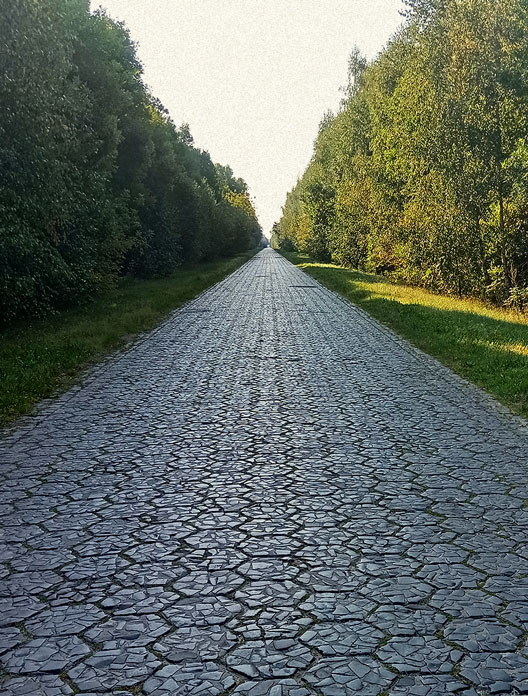 The road from Pinsk to Yanava paved with trylinka, photo by Бандык Паляшуцкі